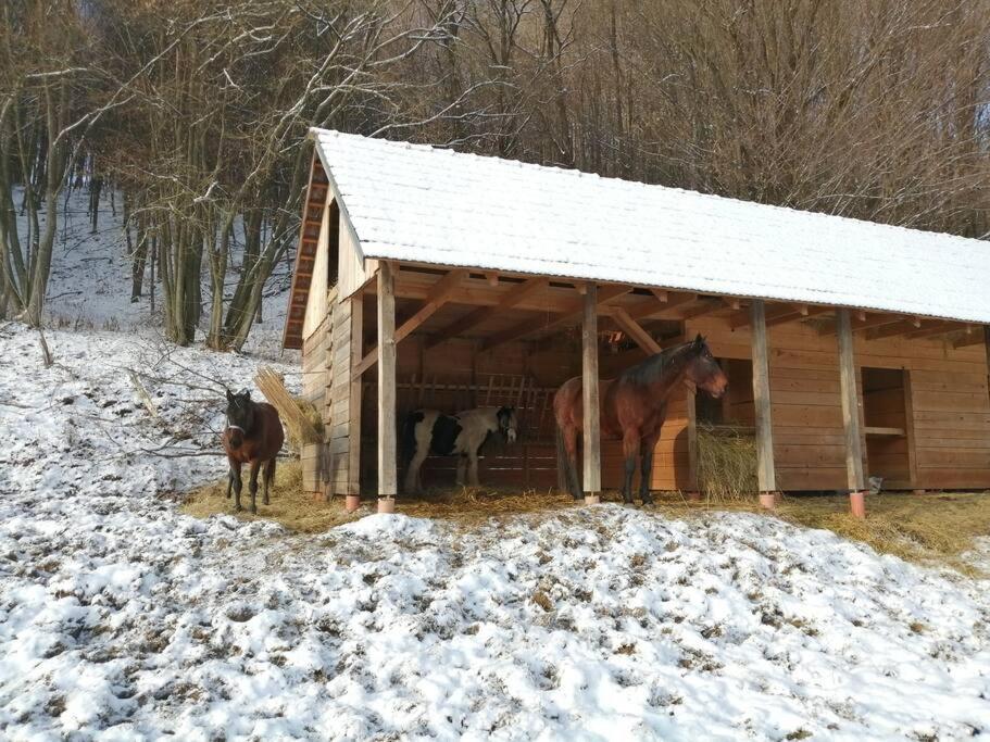 Oddychovy Pobyt Na Rodinnej Farme Matiaska Exterior foto