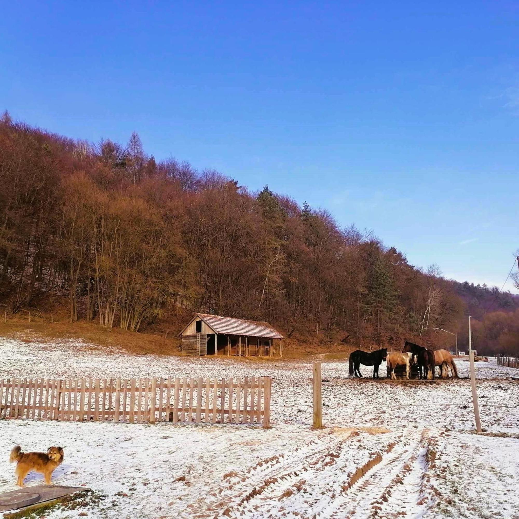 Oddychovy Pobyt Na Rodinnej Farme Matiaska Exterior foto